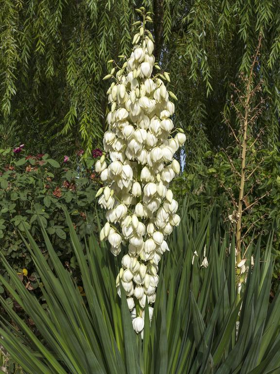 Отель Jardines De Casablanca Каравака-де-ла-Крус Экстерьер фото