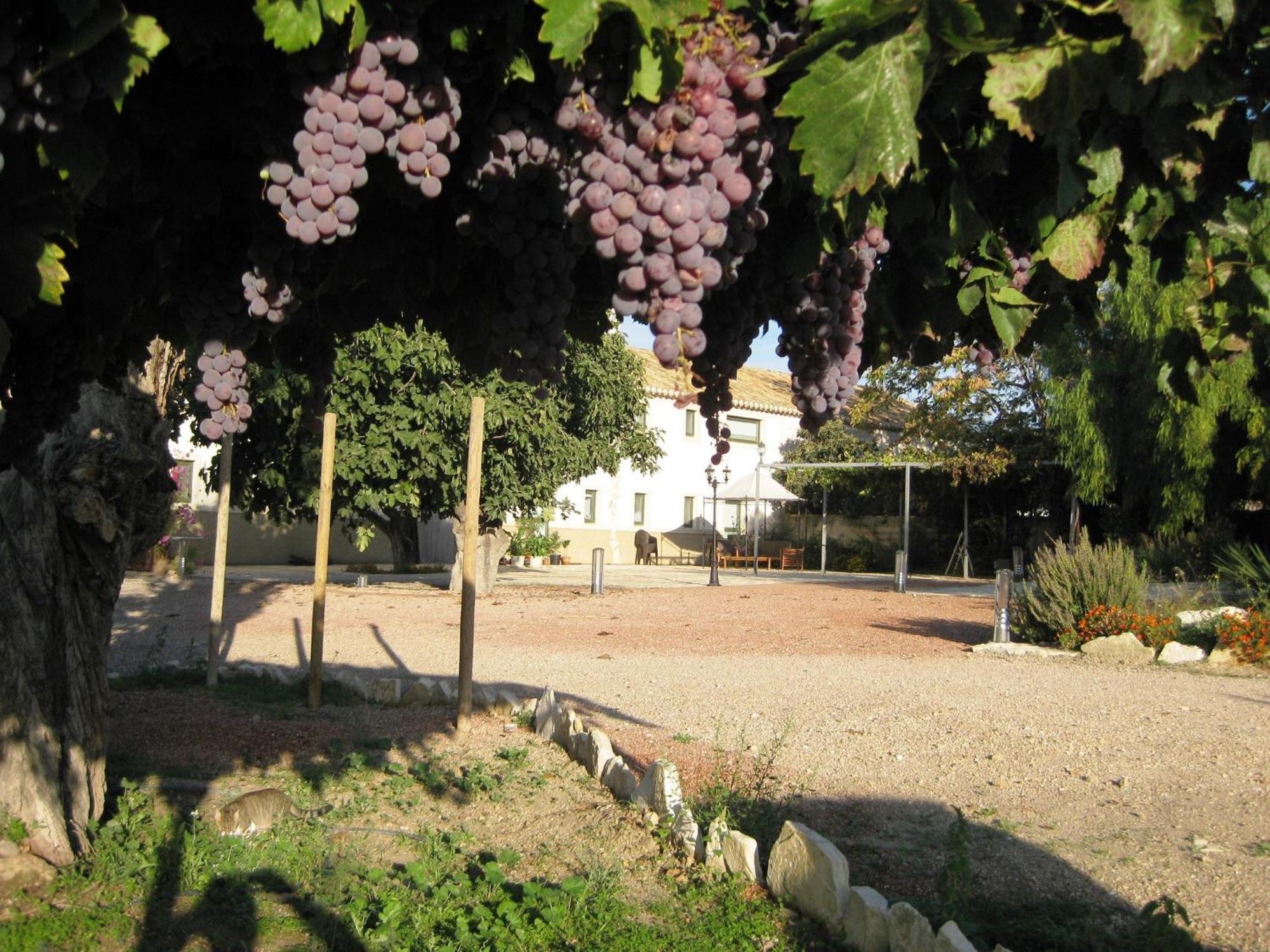 Отель Jardines De Casablanca Каравака-де-ла-Крус Экстерьер фото