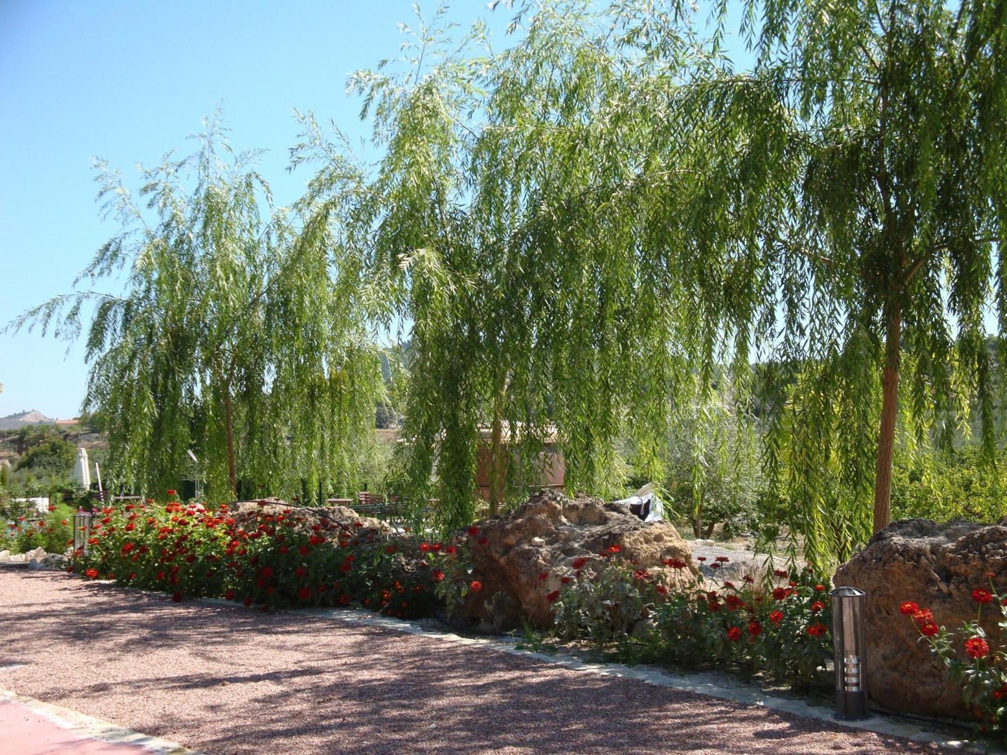 Отель Jardines De Casablanca Каравака-де-ла-Крус Экстерьер фото